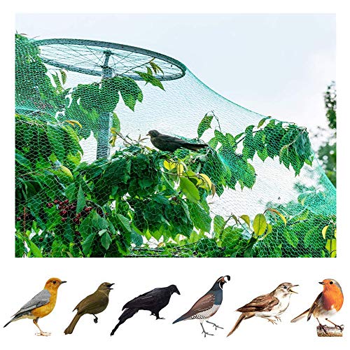 AFAGC 6M X8m Bird Netting for Garden Anti Birds Net Mesh Protect Vineyard Fruit Vegetables Flowers Plants Fishpond Reusable Fencing(Green),4 * 20M