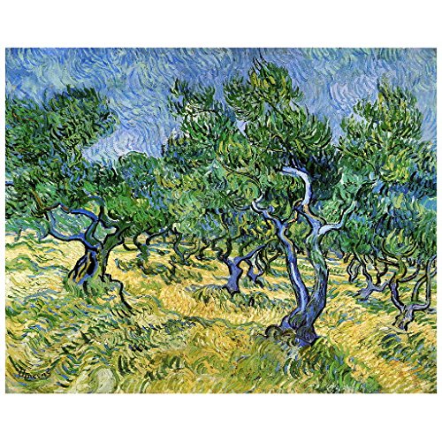 Van Gogh Olive groveImán para nevera