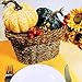 Package of 6 Assorted Artificial Frosted Gourds and Pumpkins Harvest Pumpkins for Fall Wedding Thanksgiving Halloween Seasonal Holiday Tabletop Decoration Centerpiece
