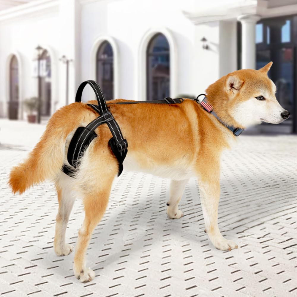 Imbracatura per Cani, Pettorina di Sollevamento per Cane Riflettente con Maniglia e Cinghie Regolabili, Supporto per Cani Anziani, Malati, Feriti, Disabili