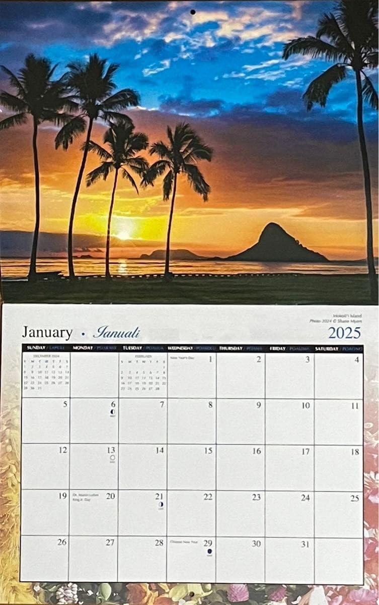 2025Calendar O'ahu Hawaiian Island of ハワイ カレンダー 壁掛けタイプ