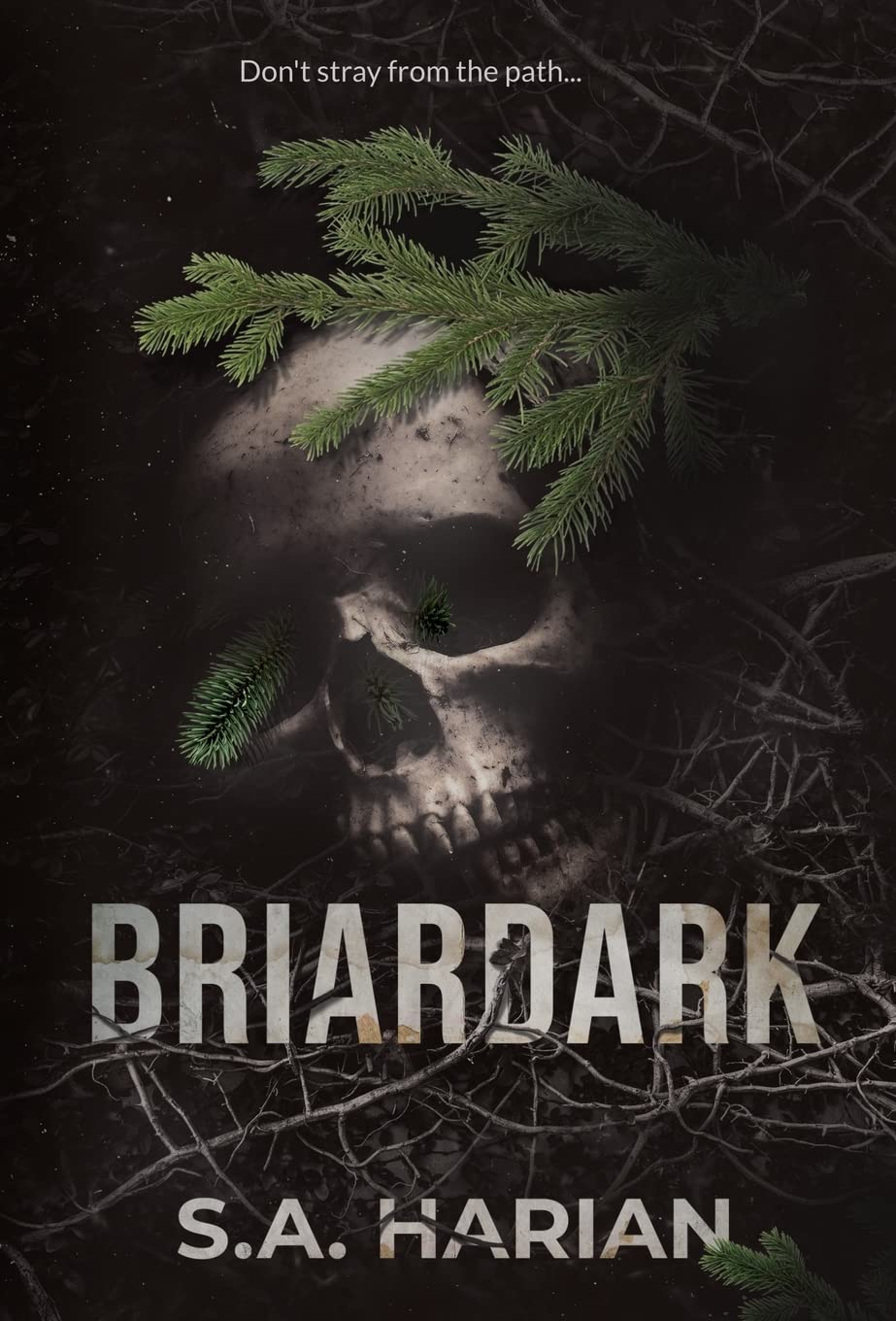 Buy Briardark: 1 — BookShops.in