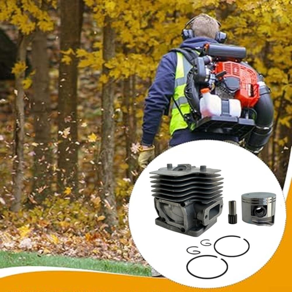 Kit cilindro per Echo PB-8010 PB-9010 Soffiatore a zaino, Assemblaggio in metallo Sostituire P100006300, Parti del motore resistenti per il restauro di apparecchiature elettriche esterne