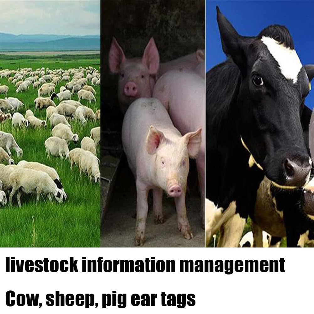 Kolczyki do identyfikacji zwierząt, Plastikowe kolczyki z numerami 001-400 dla bydła owiec(Adult Cattle,Pink101-200)