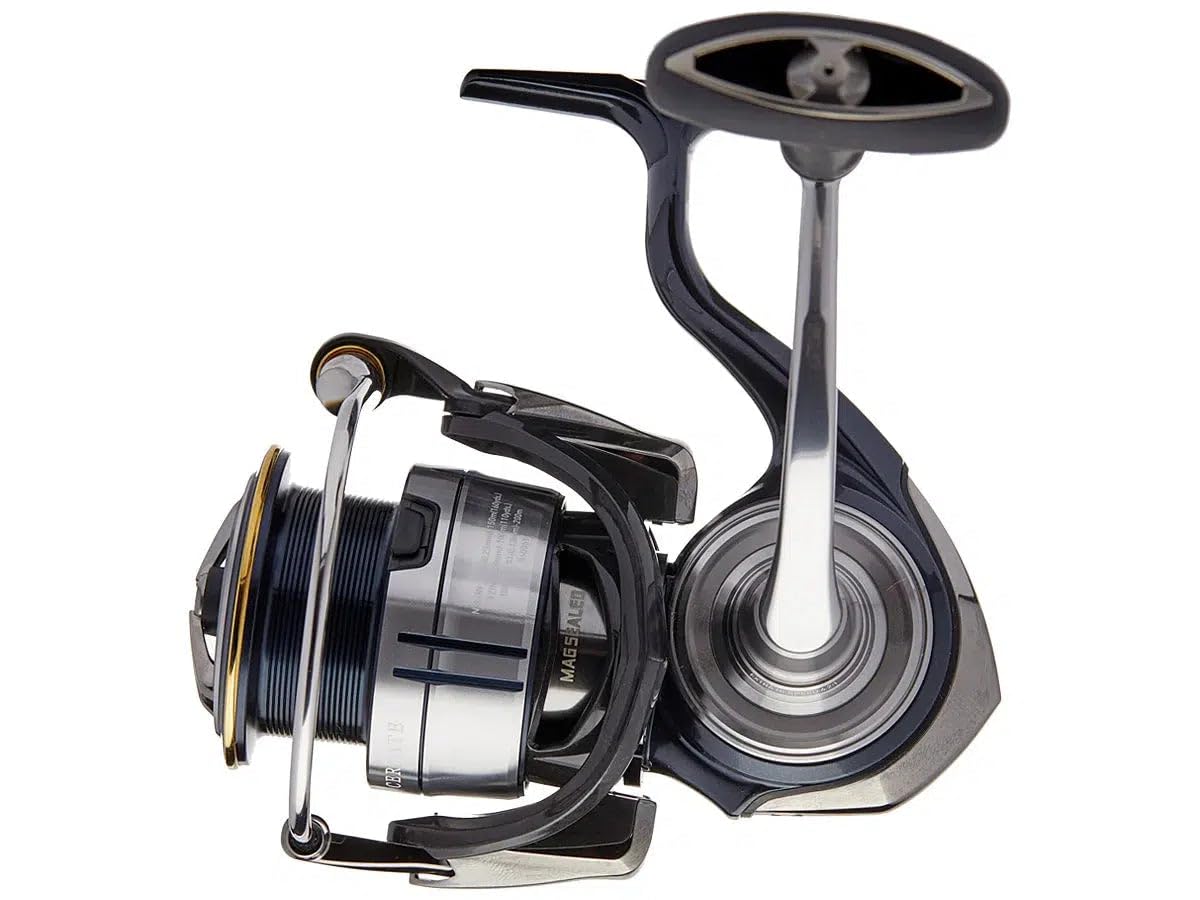 CERTATE LT SPINNING - REEL : Amazon.ca: Sports & Outdoors