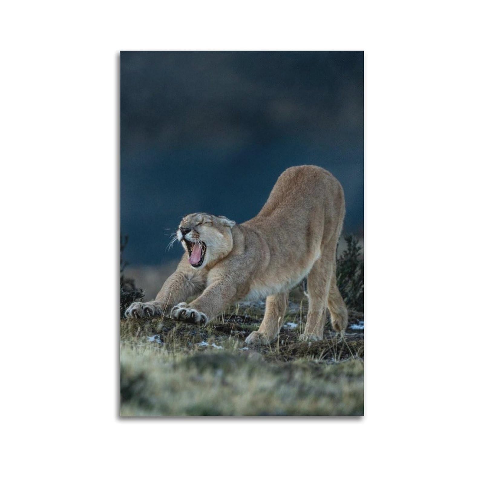XKUGA Wild Felines Poster Cougar Big Cat Habitat Modern Decorative Canvas Prints - Ideal Wall Art for Family, Man Cave, Game Room, Boys & Girls Bedroom 20x30inch(50x75cm)
