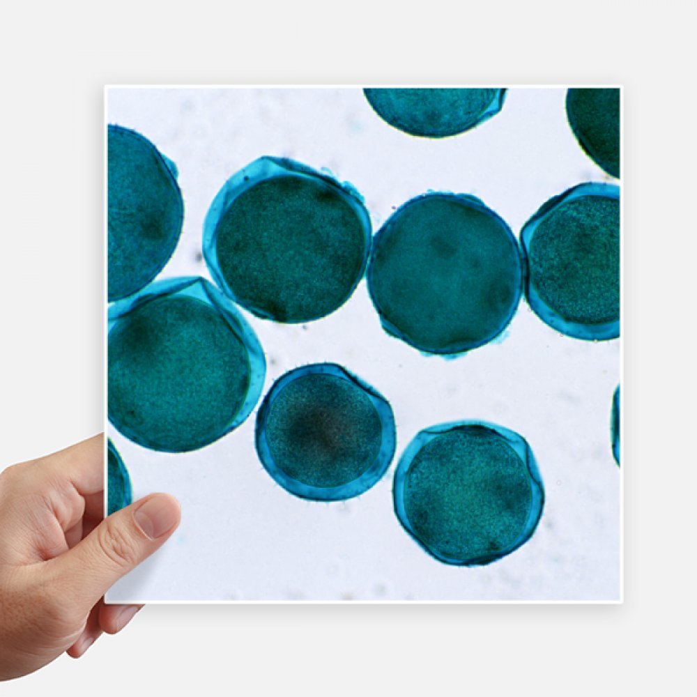 Pegatinas de celda azul DIYthinker de 20cm vinilos cuadrados para pared y maleta pack de 4
