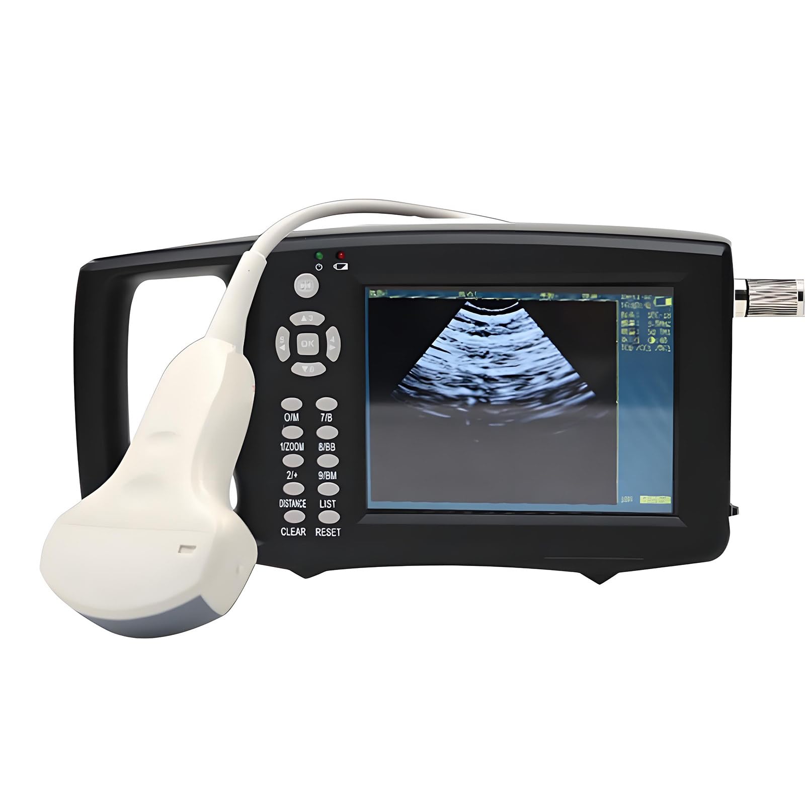 Schweine-Schwangerschaftstester,Tragbarer Veterinär Scanner Mit 3,5-MHz Mechanischer Sonde,Ideal Für Schweine-Zucht & Bauernhof-Schwangerschaftsüberwachung B