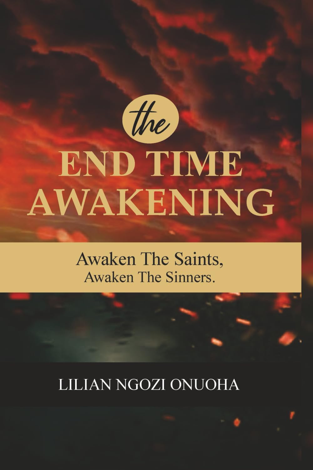 THE END TIME AWAKENING: AWAKEN THE SAINTS, AWAKEN THE SINNERS