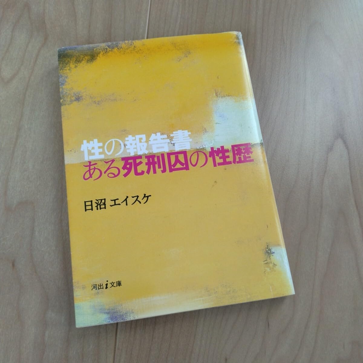 ある死刑囚の性歴　性の報告書 （河出ｉ文庫） 日沼エイスケ ある死刑囚の性歴 : 性の報告書 日沼エイスケ 発禁 奇書