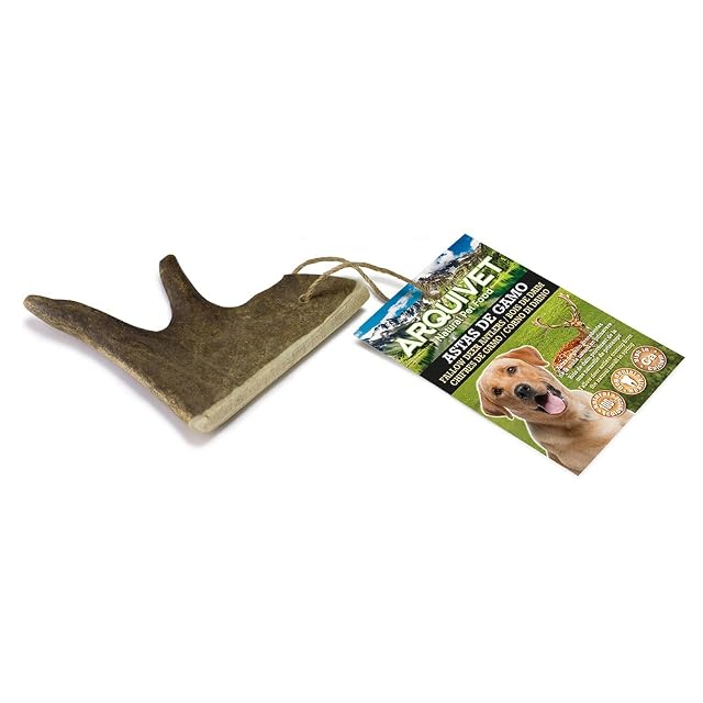 ARQUIVET Asta de gamo - S (<50 g) - Mordedor ecológico para Perros - Snacks Naturales - Cuernos de cérvidos