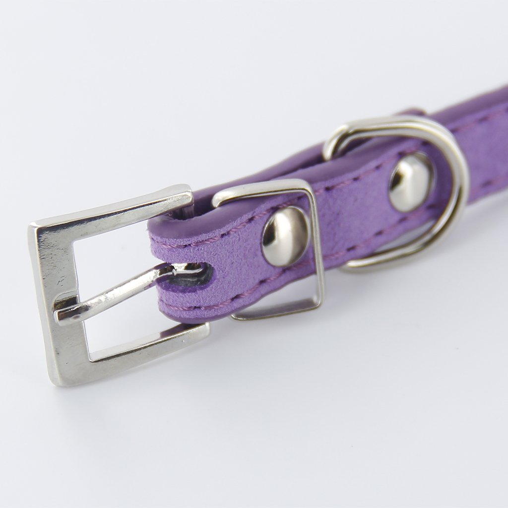 Petfavorites Strass Hundehalsband - Designer Halsba Produktbild-Vorschau 8