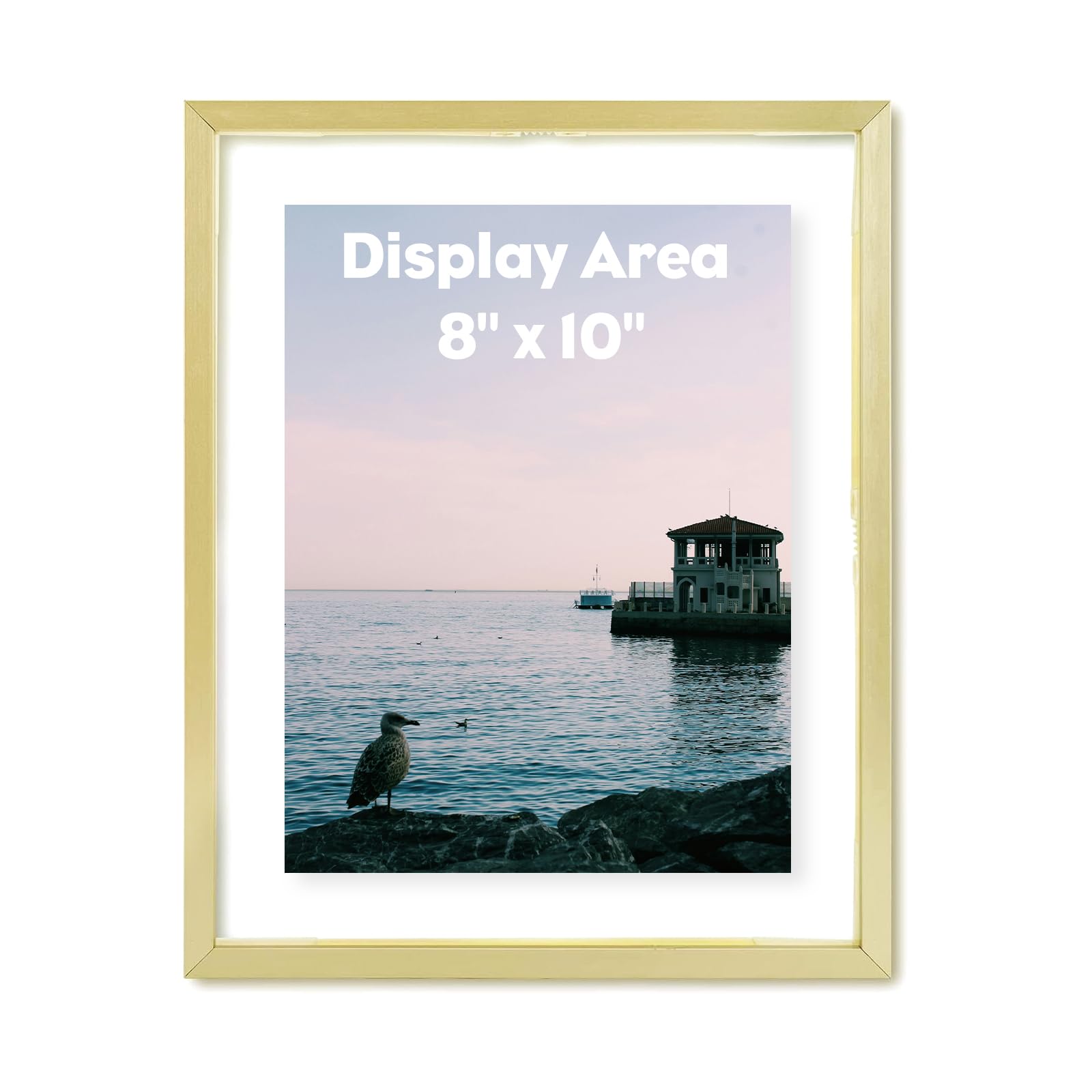 Amazon.co.jp: Golden State Art 8 x 10 フローティングフレーム