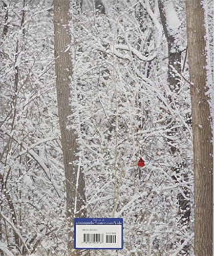 Best in Snow (Weather Walks) - Thumbnail 2