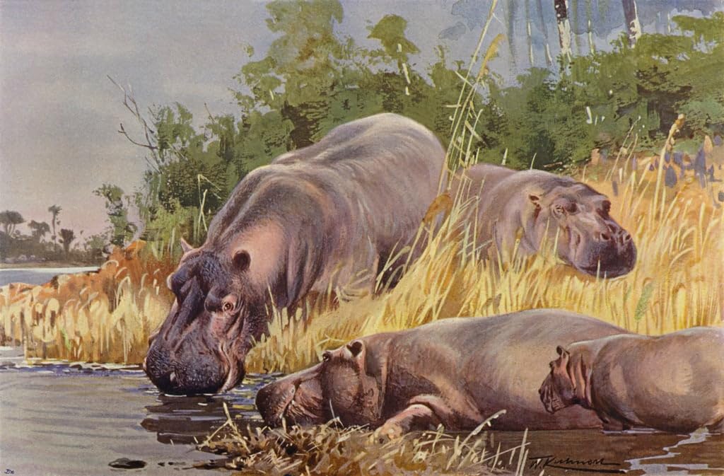 Pintura de lienzo vintage con diseño de hipopótamo SERENDIPITP para decoración, 60x90cm 5