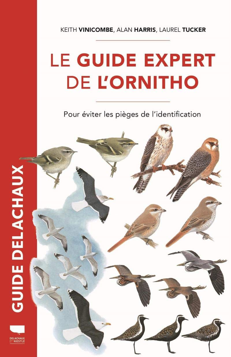 Le Guide expert de l'ornitho: Pour éviter les pièges de l’identification