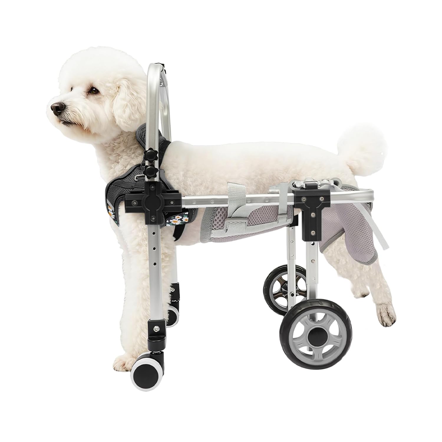 Dog Wheelchair, Adjustable 4 Wheel Dog Strollers with Handle, Adjustable Pets Cart Mobility Aids, for Small and Medium Sized Injured Dogs (M)