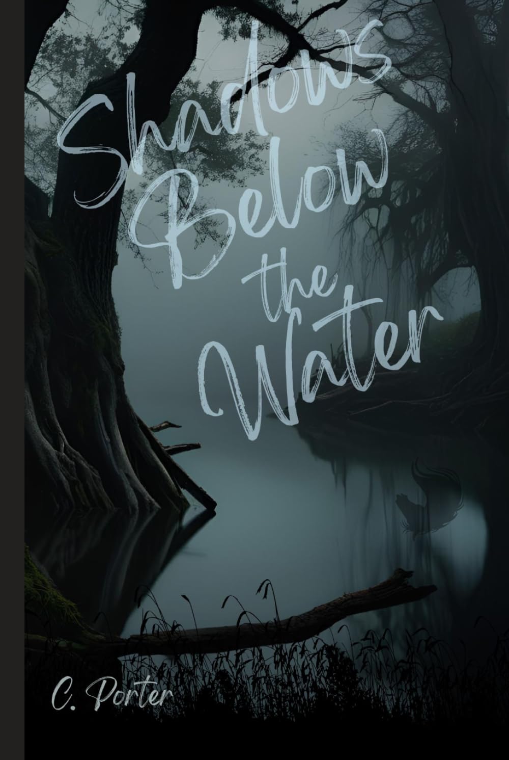 Shadows Below the Water