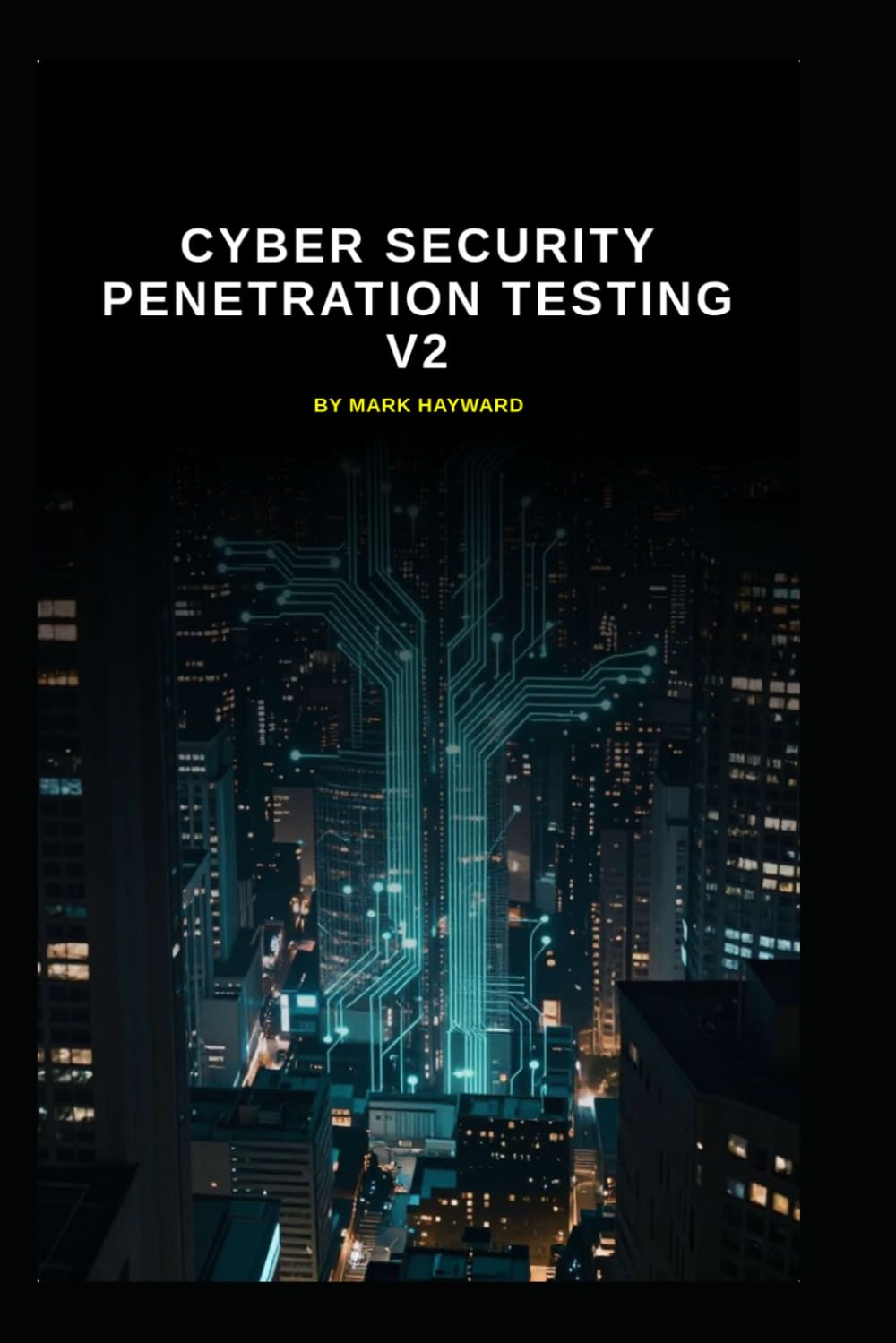 Cyber Security Penetration Testing v2: Updated information from v1 (Series 2a)