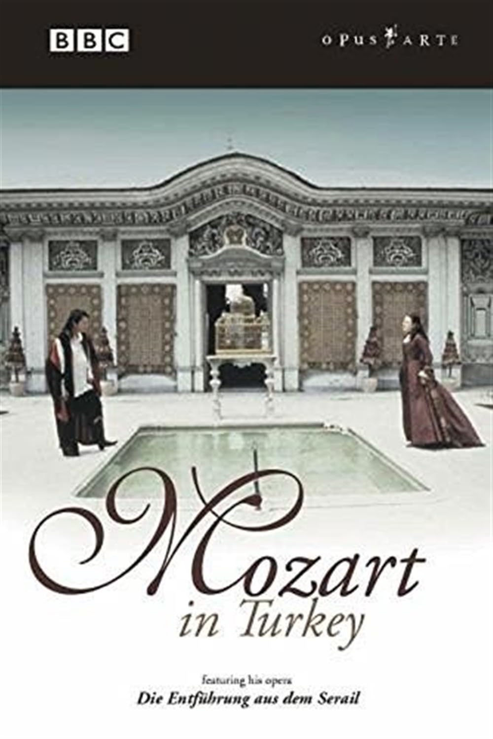 Mozart in Turkey [Import] [DVD]