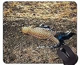 Mauspadgröße: 200 mm x 240 mm x 3 mm (7,9 