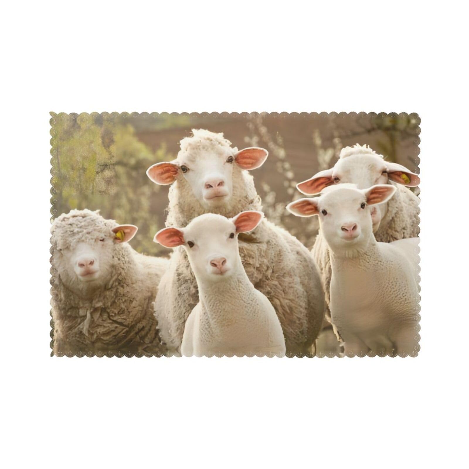 Sheep And Lambs Printed table mat set (6 pieces) - Aesthetic upgrade for family gatherings and hotel banquets