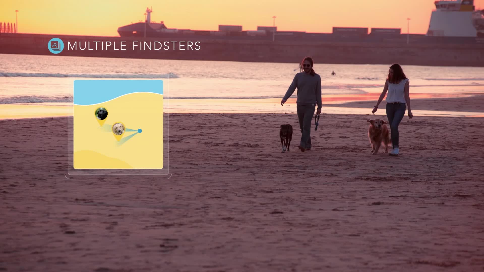 findster duo amazon uk