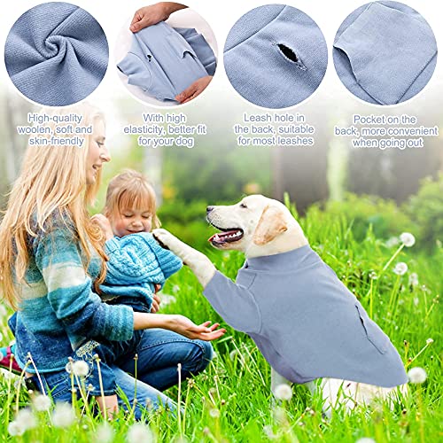 Dora Bridal Dog Hoodie Coat Set, Bundle With One Dog Winter Jacket And One Dog Autumn Hoodie, Comfortable Winter Puppy Jacket, Puppy Breathable Pullover Jumpsuit Sweater Hoodie For Boy Girl Pets #TOP6