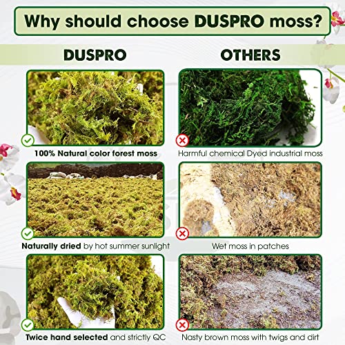 DUSPRO Dried Moss for Potted Plants, Forest Orchid Moss for Potting Mix, Sphagnum Potting Moss for Plants Indoor, Real Moss Soil Cover for Houseplant (5 OZ) - Thumbnail 3