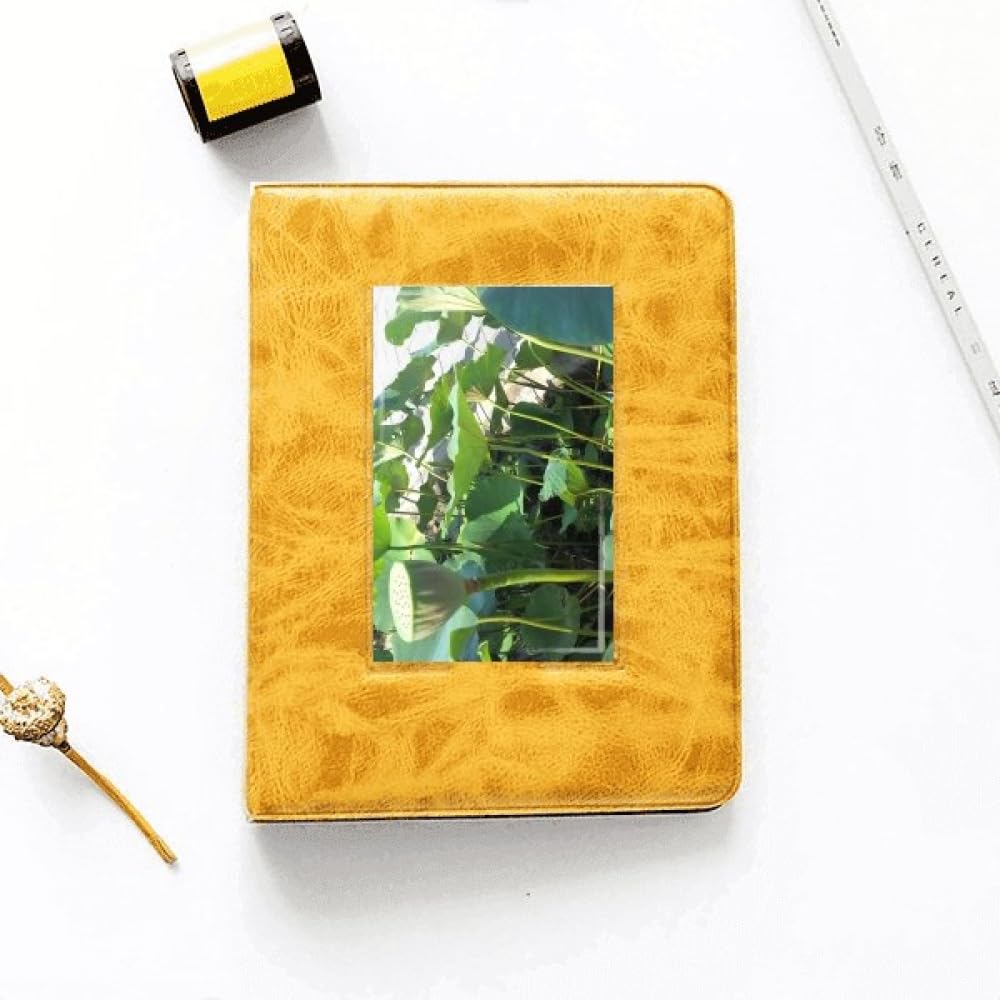 no/no Lotus Lake Pool Art Deco Fashion Photo Album Family Wedding Picture 4x6