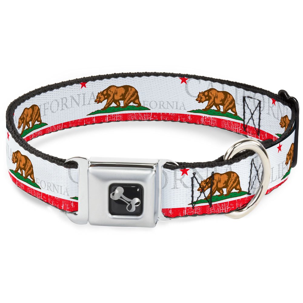 Collier de chien California pour balades et éducation canine