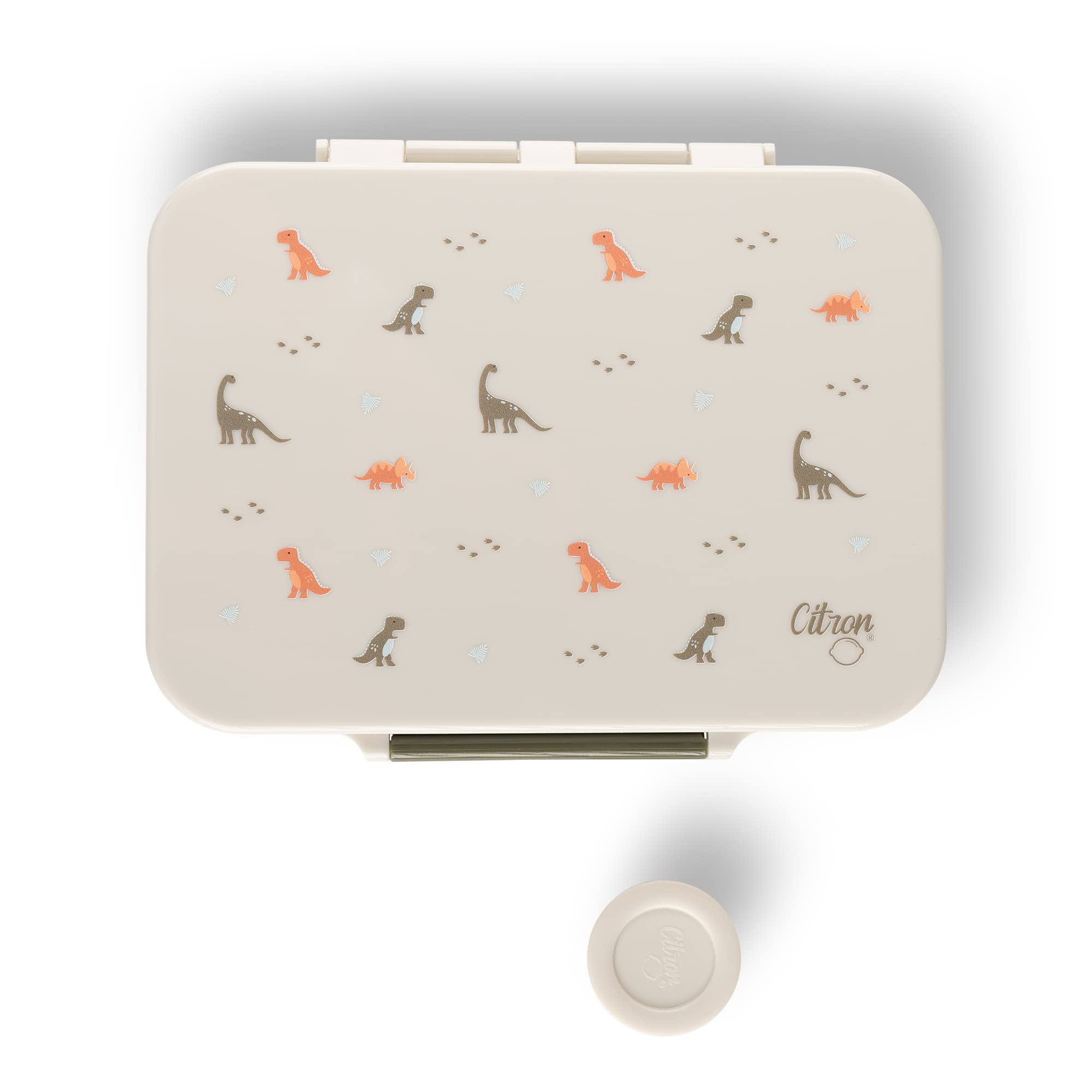 Tritan Lunch Box for Kids with 4 Compartment Easy to Open, Great for School & Travel, Elegant Dino Design