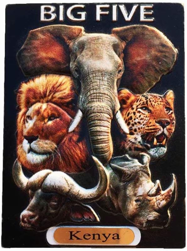 Kenya 3D Fridge Crafts Souvenir Resin Refrigerator Collection Travel