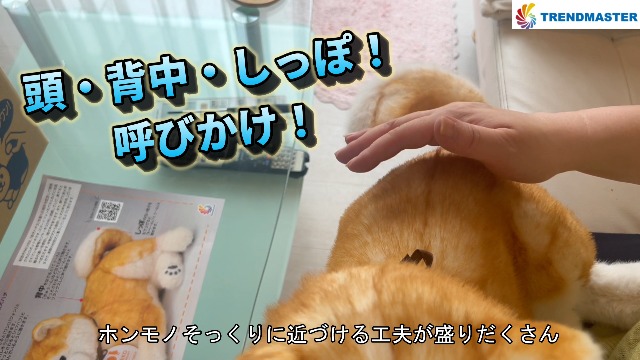 Amazon.co.jp | トレンドマスター なでなでワンちゃん秋田犬 HACHI EX