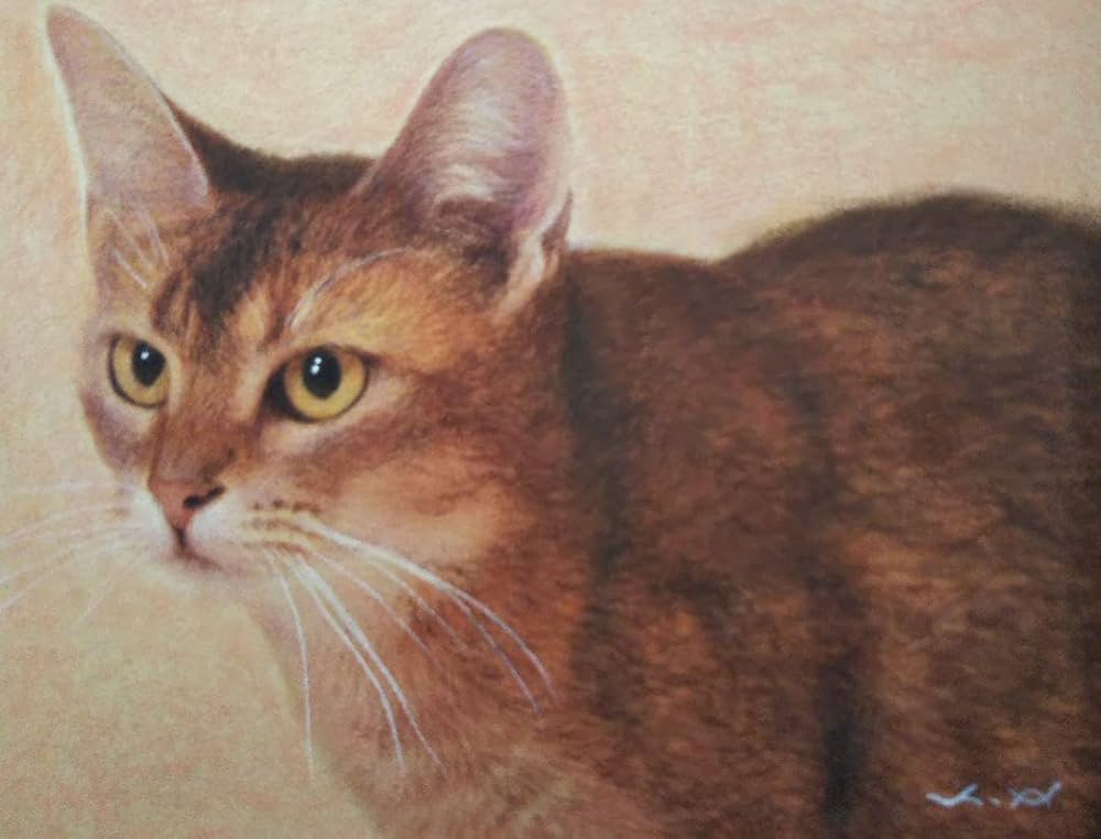 F0号◆猫◆新品【パステル＋水彩＋色鉛筆＋アクリル】◆防水丁寧梱包◆猫の絵 Amazon | ◇猫◇荒木孝介 真作F0号 猫の絵 水彩色鉛筆