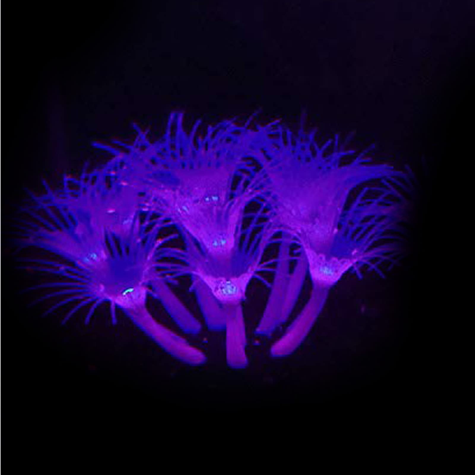 Rianpesn Artificial Silicone Coral | Aquarium Fish Tank Ornaments, Effect Aquarium Decor Silicone Artificial Coral Plant Ornament
