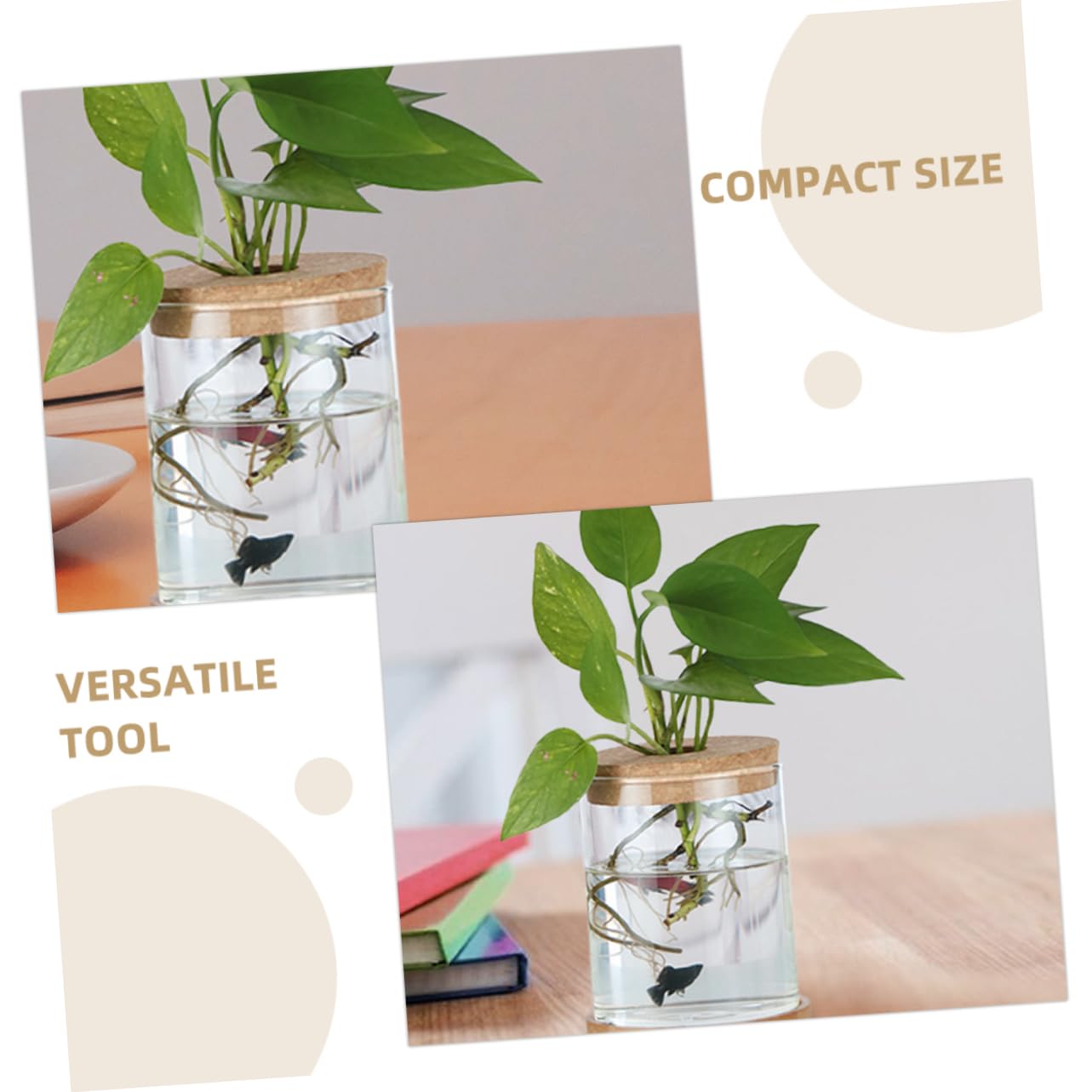 ORFOFE Bouchons en Liège et Matériau Naturel avec Trou Central Lot de 6 Design Polyvalent pour Vase en Verre Hydroponique pour Terrariums et Jardins Miniatures