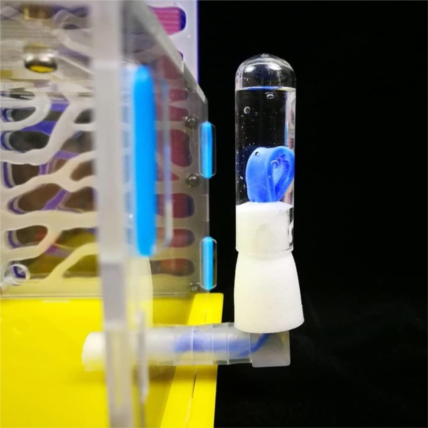 Ameisenfarm Nistkasten, Ameisenburg Aus Acryl, Biologieunterricht, Ameisen, Wissenschaftsbausatz Für Selbermachen, Ameisenfarm, Ameisenlebensraum Beobachten, Ameisennestfarm Ameisenhaus(Blue)
