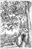Zoom IMG-1 devils demons and witchcraft 244
