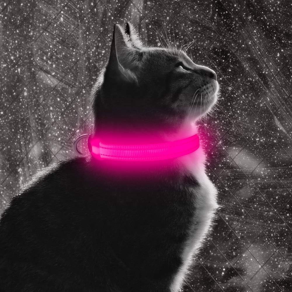 Bseen LED collare ricaricabile USB Glowing XS regolabile collare, Light Up riflettente sicurezza cane collare per cani di piccola taglia e gatti, XS, Mocassini eleganti da donna
