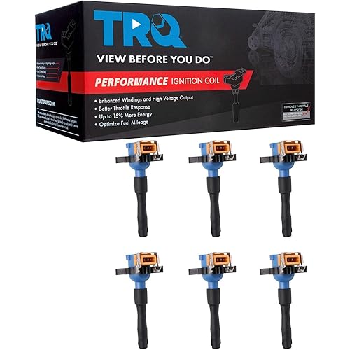TRQ Ignition Coil Set 6 Piece High Temperature Epoxy Compatible with 96-02 BMW 328i 328is 528i Z3 98-00 323i 323is 99 M3 00 323Ci 328Ci 97-02 325i 325xi 325Ci 330Ci 330i 330xi 530i 01-03 X5
