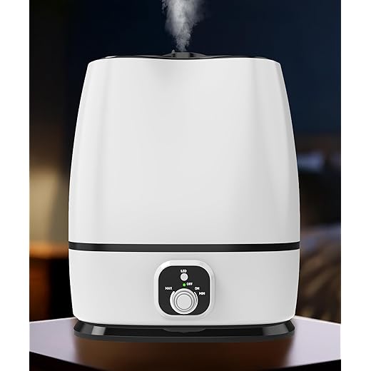 Everlasting Comfort 6L Humidifier Large Room, High Mist Output 50+ HR Runtime Ultrasonic Humidifiers for Bedroom, Easy to Use & Clean for Home, Baby Humidifier, Plants, Congestion, Indoor