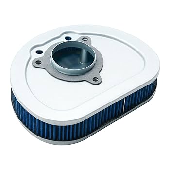 Amazon.com: Anxingo 29633-08 Air Filter, Replacement for