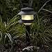 Paradise Plastic Path Stake Light (Black, 4 Pack)