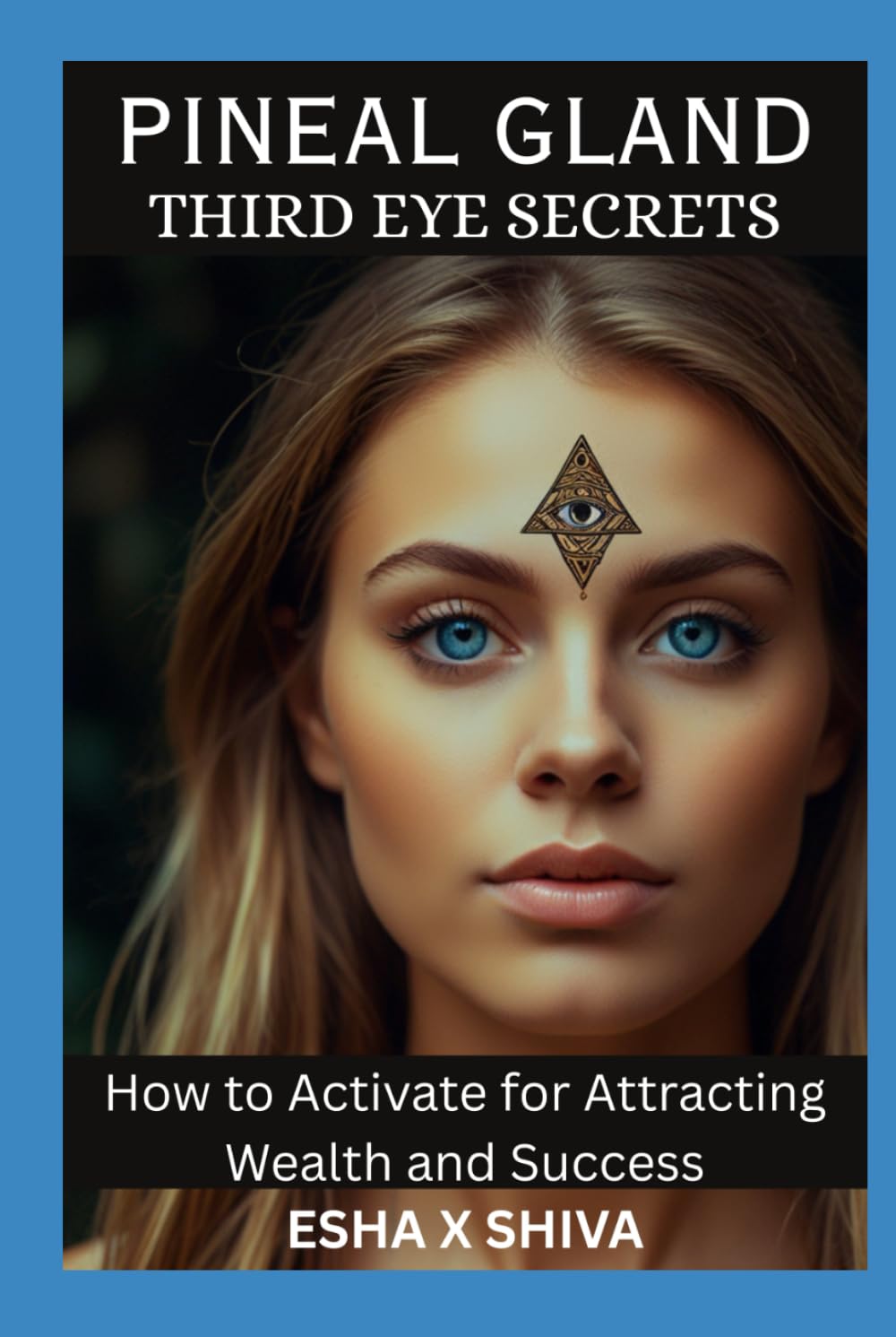 Pineal Gland Third Eye Secrets: How to Activate for Attracting Wealth and Success