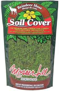 Mosser Lee ML3010 Green Reindeer Moss, 3 ounce