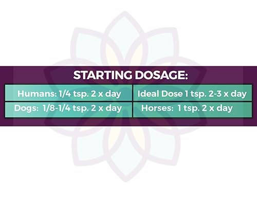 Miniatura 4 de Pranjali Pasta de cúrcuma (pasta dorada), orgánica, sin OMG, sin gluten, 6.7 onzas