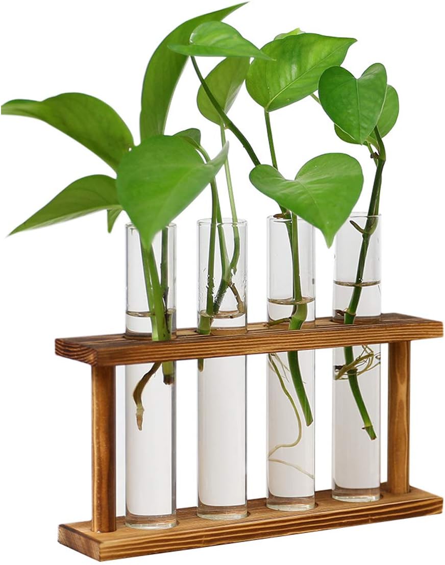 ZAHNG Wall Hanging Plant Terrarium Hydroponic Tube Vase Glass Planter Tabletop Hydroponics Air Planter Holder with Wooden Stand,Tube…