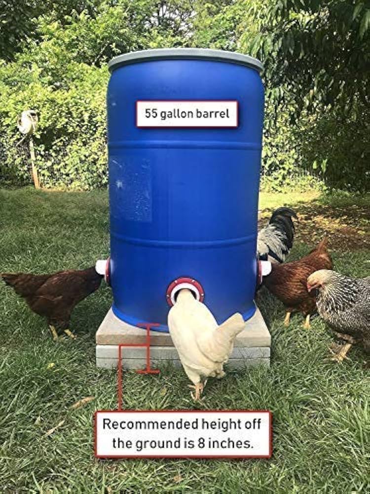 NoWaste Bulk Chicken Feeder, 55 OFF idsdeutschland.de