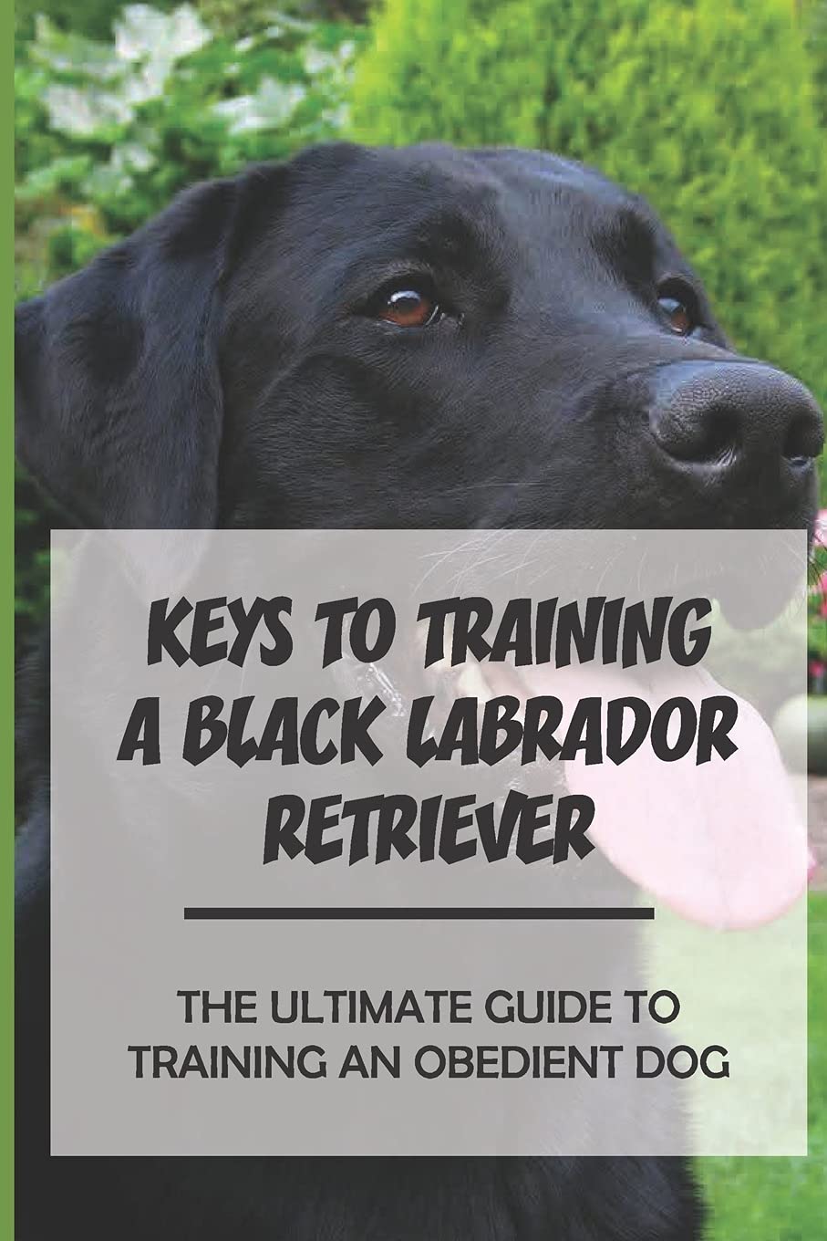 Buy Keys To Training A Black Labrador Retriever The Ultimate Guide To